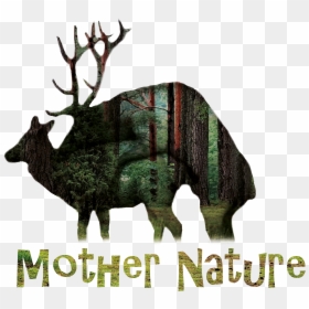 Elk, HD Png Download - mother nature png