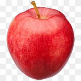 Michigan Gala Apples, HD Png Download - apple bite png