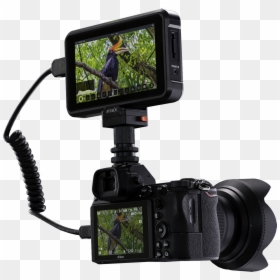 The Atomos Shinobi 5 Inch High Brightness Hdr Monitor - Atomos Shinobi 5.2 4k Hdmi Monitor, HD Png Download - shinobi png