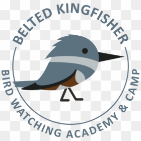 Νοτεσ Κιθαρασ, HD Png Download - kingfisher logo png