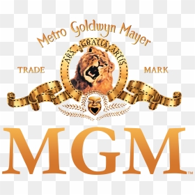 Metro Goldwyn Mayer Logo, HD Png Download - mgm logo png