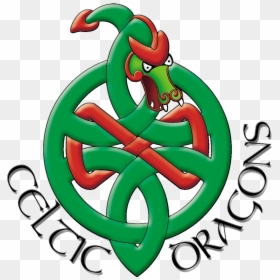 Celtic Dragons, HD Png Download - celtics logo png