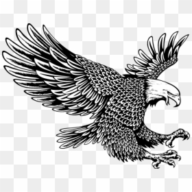 Tattoo Drawing Of Eagle, HD Png Download - eagle logo design black and white png