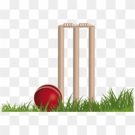Cricket Png, Transparent Png - cricket batting logo png