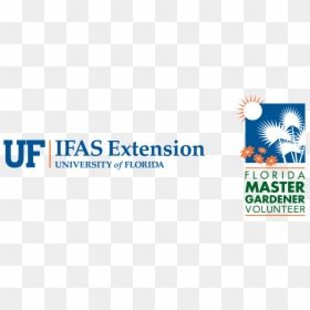 University Of Florida, HD Png Download - uf logo png