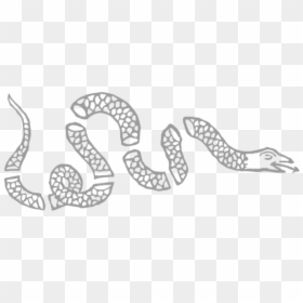 Join Or Die Snake Decal - Fundamental Orders Of Connecticut Symbol, HD Png Download - white snake png