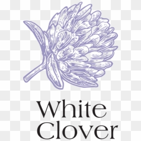 Certy Pro, HD Png Download - white clover png