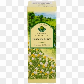 Herbaria-dandelion - Tea, HD Png Download - dandilion png