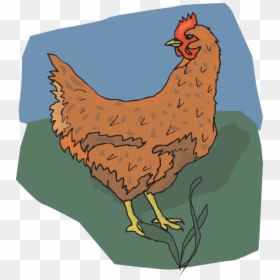 Brown Chicken Looking Back Svg Clip Arts, HD Png Download - chicken clip art png