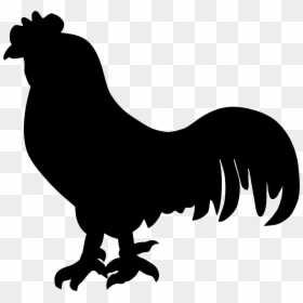 Rooster Clip Art Silhouette Chicken Gamecock - Australian Silky Terrier Silhouette, HD Png Download - chicken clip art png