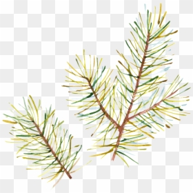 Hand Painted Half Withered Leaves Png Transparent - Aquarelle Christmas Card, Png Download - tree without leaves png