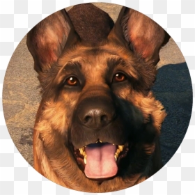 Dogmeat - Fallout 76 Dogmeat, HD Png Download - codsworth png