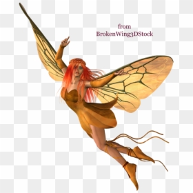 Autumn By Brokenwing Dstock Image Royalty Free Download - Fairy Transparent Background, HD Png Download - broken wing png