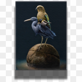 Stork, HD Png Download - broken wing png