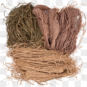 Grass, HD Png Download - feather reed grass png