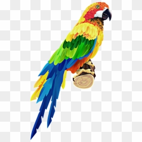 #guacamaya - Colorful Parrot, HD Png Download - guacamaya png
