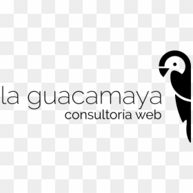 Calligraphy, HD Png Download - guacamaya png