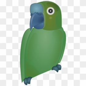 Bird1 - Clip Art, HD Png Download - guacamaya png