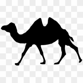 Silueta De Animales Caminando, HD Png Download - camel silhouette png