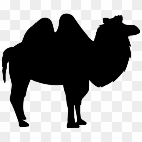 シルエット ラクダ イラスト 白黒, HD Png Download - camel silhouette png