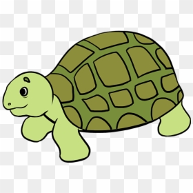 How To Draw Sea Turtle - Easy Step By Step Easy Turtle Drawing, HD Png Download - crush finding nemo png
