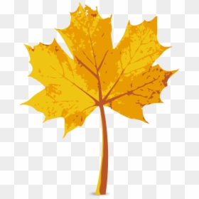 Maple Leaf Autumn - Autumn Leaves, HD Png Download - fall leaves.png
