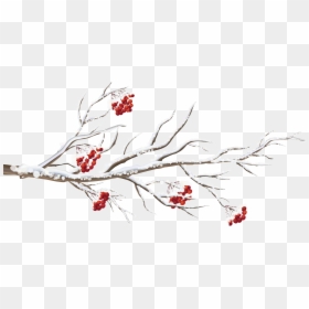 Pomegranate Clipart Branch - Clipart Winter Tree Branch, HD Png Download - tree branch clipart png