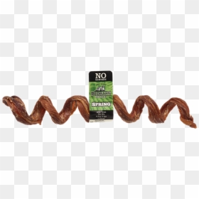 Esophagus Spring - Wood, HD Png Download - esophagus png