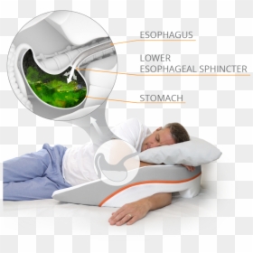 Side Pillow With Arm Hole, HD Png Download - esophagus png
