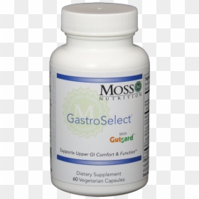 Nutraceutical, HD Png Download - esophagus png
