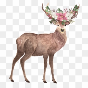 Elk, HD Png Download - reindeer antlers png tumblr