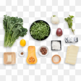 Kale & Butternut Squash Lasagna With Arugula, Pear - Png Food Top View, Transparent Png - arugula png