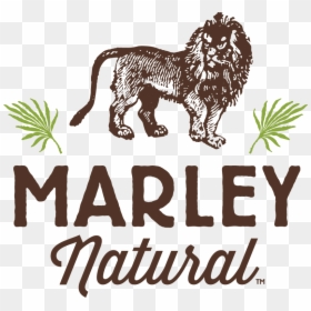 Marleys Natural, HD Png Download - gucci mane ice cream tattoo png