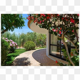 Beautiful And Stylish 4 Bed Villa With Heated Pool - Bougainvillea, HD Png Download - salgados png