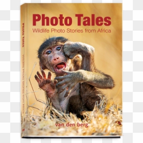 Photo Tales"  Class= - You Tube, HD Png Download - old book cover png