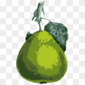 Pear, HD Png Download - pear tree png
