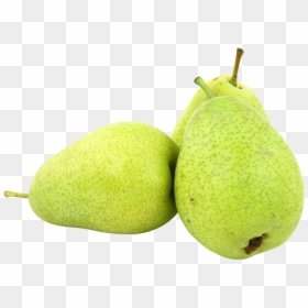 Pears Png Image - ผล ไม้ สี เขียว, Transparent Png - pear tree png