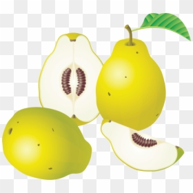 Pear Png Image - Fruit Clipart, Transparent Png - pear tree png