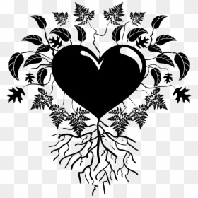 Heart Clipart Plant - Seed Heart Clip Art, HD Png Download - heart line art png