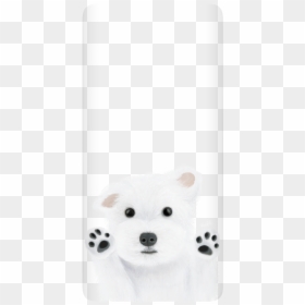American Eskimo Dog, HD Png Download - samoyed png