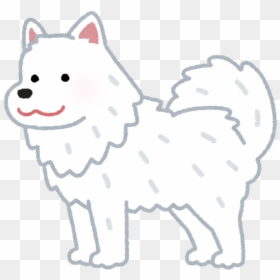 白い 犬 イラスト, HD Png Download - samoyed png