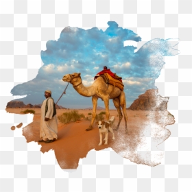 Arabian Camel, HD Png Download - jordan face png