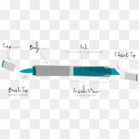 Anatomy Of An Art Marker - Anatomy Of A Marker, HD Png Download - crayola markers png