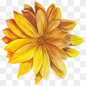 Flower, HD Png Download - sparrow tattoo png