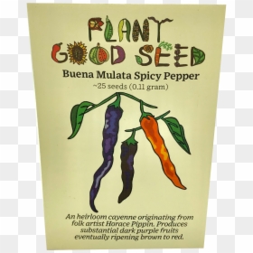 Buena Mulata Pepper - Bird's Eye Chili, HD Png Download - pepper plant png