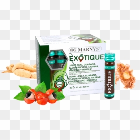 Marnys Exotique, HD Png Download - ginseng png