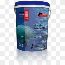 Shark, HD Png Download - sea plants png