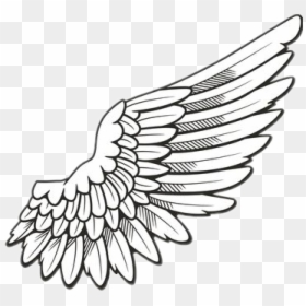 #wing #wings #cool #art #yeet #anime #angel #accessories - Angel Wings Pencil Drawing, HD Png Download - anime angel png