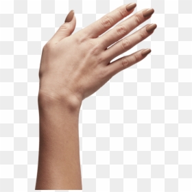 4b79f2 - Sign Language, HD Png Download - fingernail png