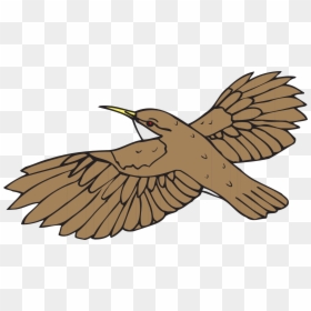 Brown Bird Flying Clipart, HD Png Download - bird drawing png